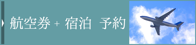 航空券付き宿泊プラン